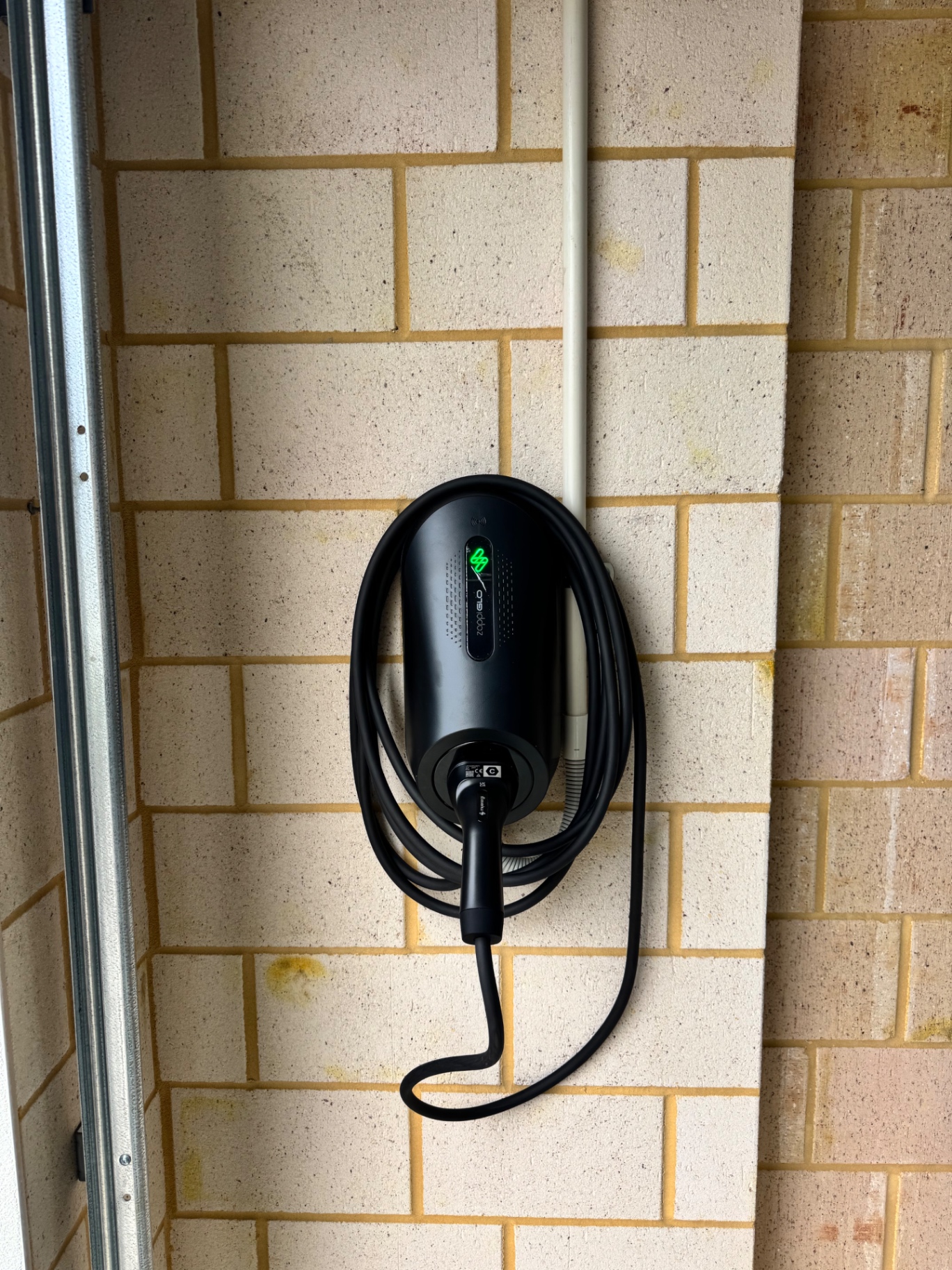 Zappi GLO on cream brick